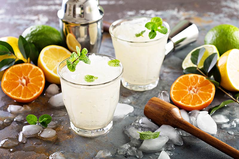 ervas para drinks