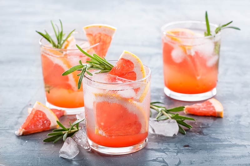 ervas para drinks