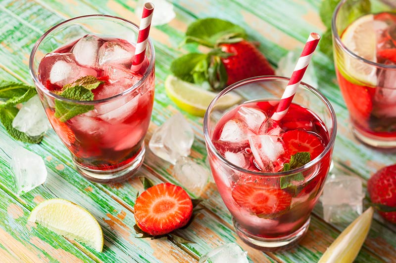 ervas para drinks