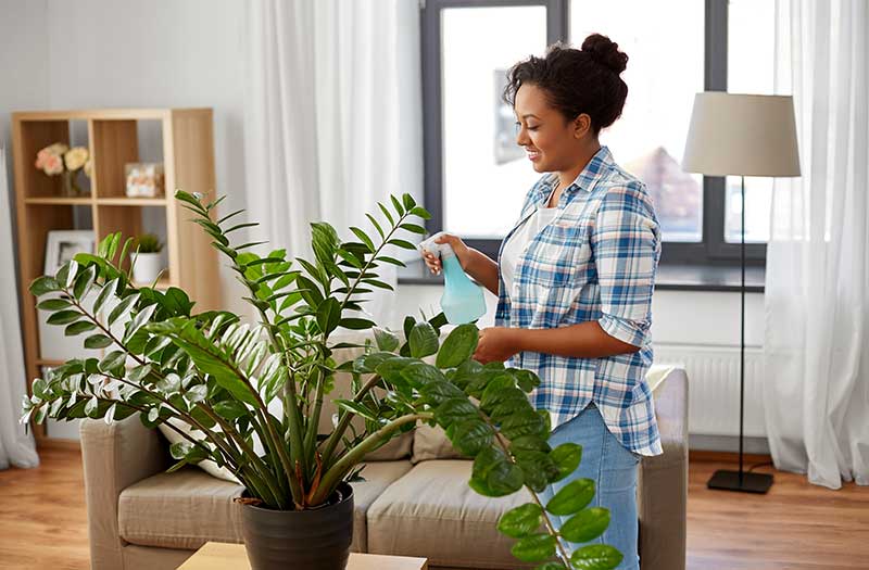 plantas para apartamento
