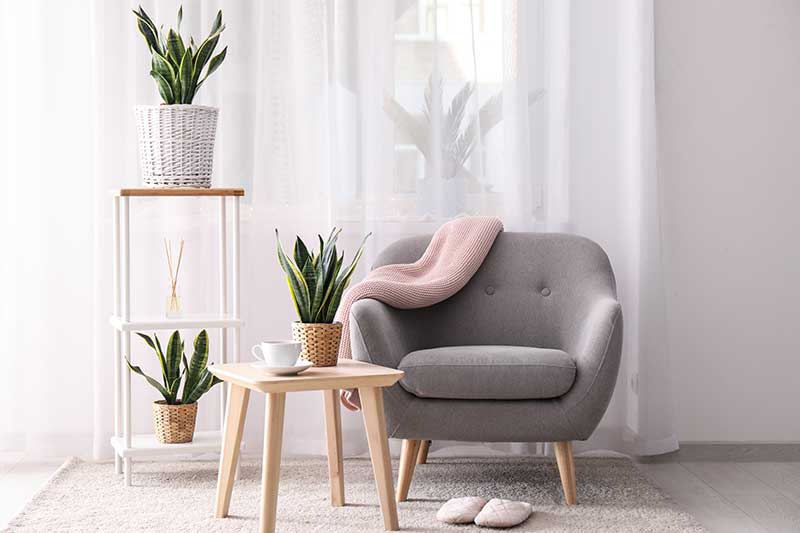 plantas para apartamento