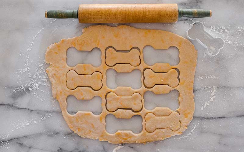 biscoitos para cães