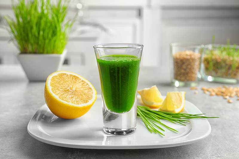 shot matinal detox